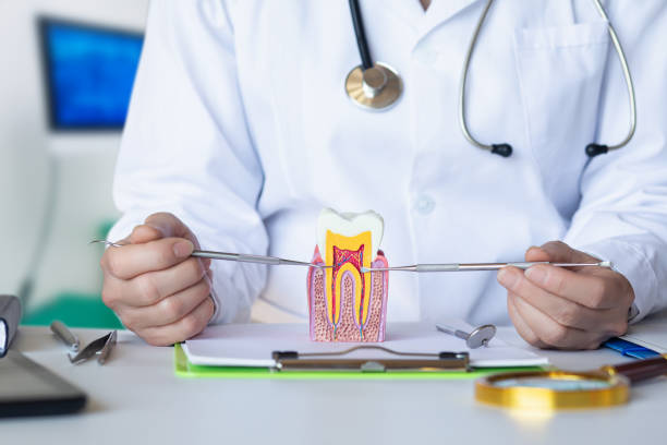 Best Emergency Gum Pain Relief  in Spry, PA